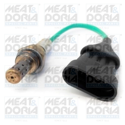 Oxygen Sensor